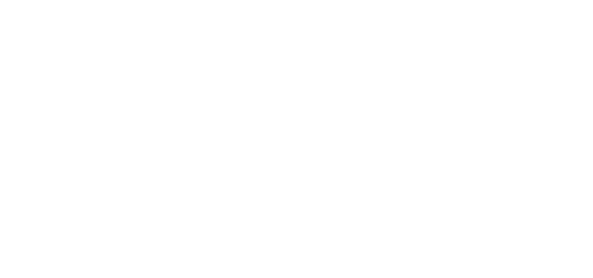 AK Zvornički putevi